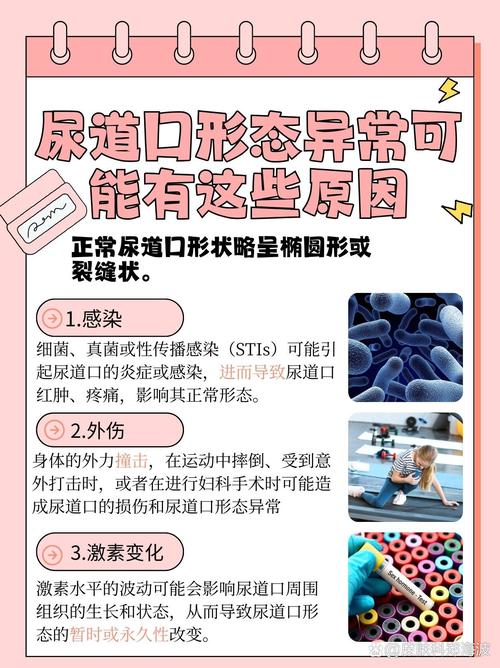 襄阳天河影院的相关介绍
