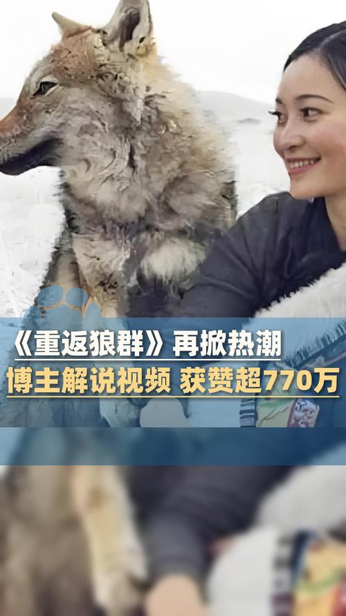 啪啪啪啪啪啪啪av的相关介绍