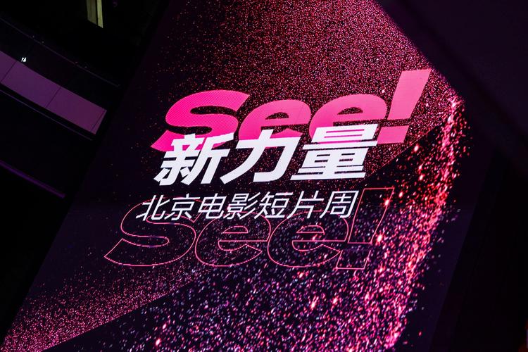 光影交织的专属空间|影协电影院·私藏小众影单·会员制胶片放映厅