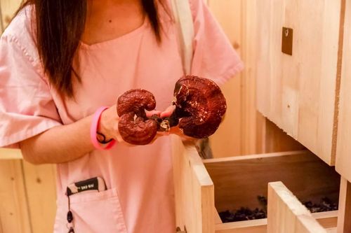 小木屋免费手机影院：最新热播剧无广告在线看，高清流畅追剧神器