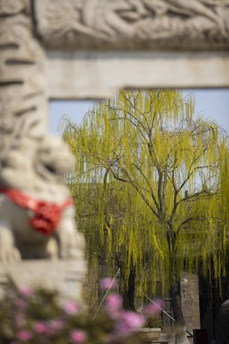 根据您的需求，生成一个SEO标题如下：

**禁止18免费网站的正确打开方式：安全浏览、家长控制与内容过滤指南**

包含的长尾关键词：  
1. 安全浏览  
2. 家长控制  
3. 内容过滤