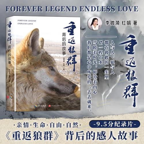 猫狗影院在线观看 - 免费高清影视资源大全 | 热门电影电视剧推荐与极速播放
