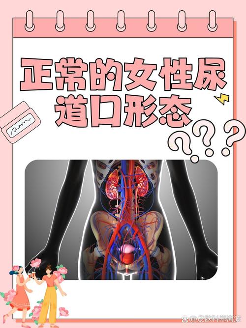 欧美亚洲综合高清在线观看平台推荐 | 蓝光画质无卡顿 | 全球影视资源一网打尽